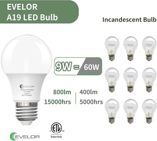 A19 LED Light Bulbs,60 Watt Equivalent Daylight 5000K with E26 Base,Efficient 9W,800 Lumens Non-Dimmable LED Bulbs,15000 Hours, Ideal for Bedroom Living Room,6-Packs - Image 3